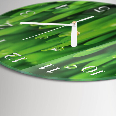 Glas wanduhr Gras