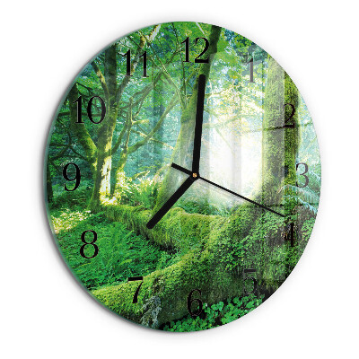 Wanduhr rund Waldmoos
