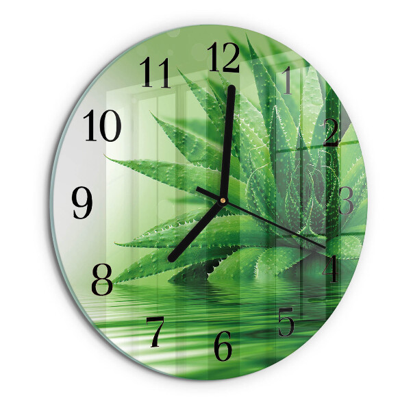 Wanduhr rund Aloe